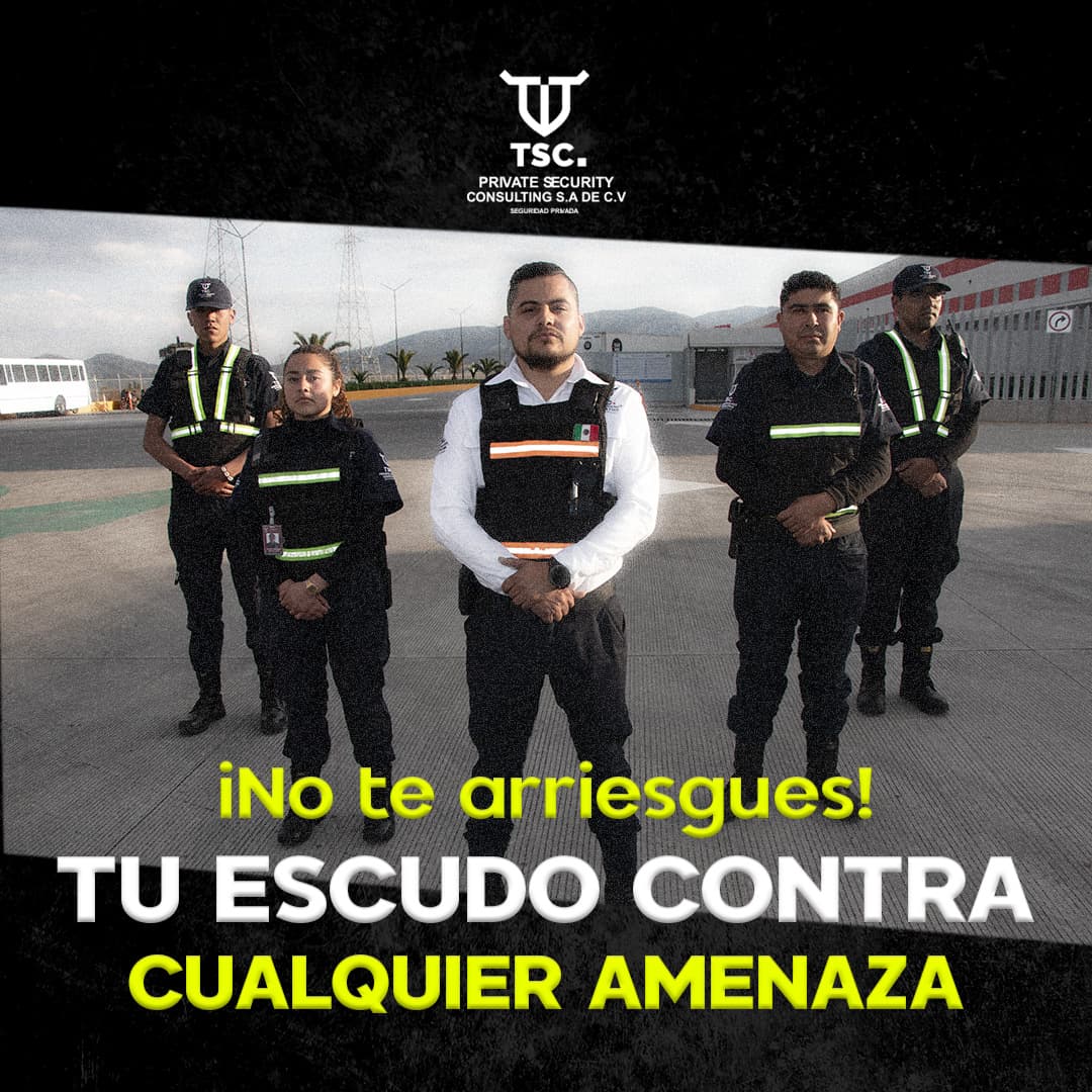 Equipo de seguridad revisando un vehículo